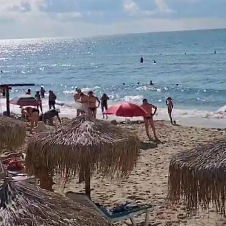 Garden Of Eden - M303 Rey&mar 公寓 圣弗拉斯