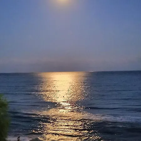 Garden Of Eden - M303 Rey&mar 圣弗拉斯