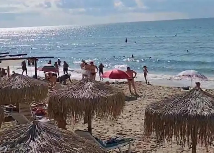 Garden Of Eden - M303 Rey&mar Апартамент Свети Влас