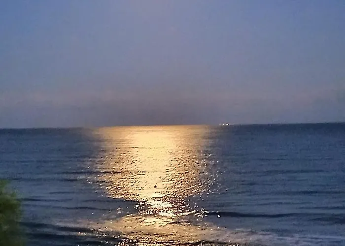 Garden Of Eden - M303 Rey&mar Свети Влас